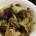 めけてー's cooksnap of when they made 鶏肉と大根のこっくり煮.