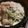 トントン太郎's cooksnap of when they made 旨い、安い、簡単、「タジン鍋豚もやし」.
