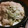 トントン太郎's cooksnap of when they made 旨い、安い、簡単、「タジン鍋豚もやし」.