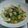 さやまめ☆'s cooksnap of when they made エビとチンゲン菜の中華炒め.