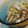 聖まま３'s cooksnap of when they made 白菜と大根のゴママヨサラダ.