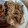 Love Bali🏝️saya's cooksnap of when they made 旨みたっぷり♪鶏ときのこの煮込み.