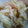 ダビデ's cooksnap of when they made ☆エノキと白菜のあっさり炒め煮☆.