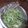 ☆えりママ☆'s cooksnap of when they made サッパリ水菜とベーコンの梅マヨサラダ.