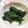 くぼさえ's cooksnap of when they made あっという間！ほうれん草の海苔和え.