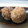 ナトキン's cooksnap of when they made やまいものふんわり揚げ★.