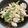 まねぶ's cooksnap of when they made ささみとブロッコリーの常備菜。.