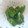 かぴーな's cooksnap of when they made ☆簡単☆美味☆ピーマンの黒ゴマ和え☆.