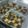 しーすん's cooksnap of when they made アイスボックスクッキー.