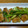 イシス女神's cooksnap of when they made サンマのねぎたっぷり♬♪醤油だれ焼き.