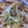 HANDGUNS's cooksnap of when they made 激ウマ～！ふわシャキ！新たま納豆！.