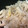 はぐはぐぐ's cooksnap of when they made 超簡単！エノキのマヨサラダ。.