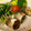 Ｐｉｒａ's cooksnap of when they made さっぱり♪いわしの梅しそ巻き.