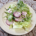 kinacoaji's cooksnap of when they made すごくおいしい！ラディッシュとレタスのマヨ和えサラダ.