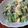 じゅん♪'s cooksnap of when they made ✿簡単！菜の花畑サラダ✿.