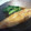レディーあや's cooksnap of when they made カレイの煮付け.