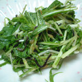 myukitty's cooksnap of when they made 水菜と塩昆布と梅の＊浅漬け＊.