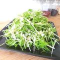 母ちゃん☆'s cooksnap of when they made ゆず胡椒風味の水菜サラダ.