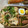 ニャロぷに's cooksnap of when they made 鶏ムネとセロリの塩炒め.