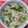 佐野ちゃん's cooksnap of when they made 菜の花漬けの混ぜご飯.