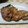 ちびぷりん's cooksnap of when they made 簡単♬♫✿豚肉のゴマだれ焼き✿.
