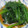 瑠梨佳's cooksnap of when they made 定番！ほうれん草のお浸し♪.