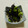ａｓｕｐａｓｕ's cooksnap of when they made あと一品＊ひじきと枝豆のサラダ.