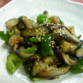 ドラちゃん♪'s cooksnap of when they made ★ナスとピーマンの焼肉のタレ炒め★.