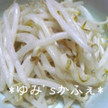 ゆみ‘ｓカフェ's cooksnap of when they made もやしのガーリックマヨ炒め.