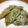 coconin's cooksnap of when they made 栄養満点！大根餅風お焼き.