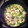 chiropee's cooksnap of when they made 簡単♪蓮根と鶏ミンチの団子♪(スープ編).