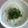 サーフブレイド's cooksnap of when they made 超簡単　でも美味しい　青ねぎごはん！.