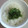 サーフブレイド's cooksnap of when they made 超簡単　でも美味しい　青ねぎごはん！.