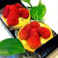 はやっぴ's cooksnap of when they made 苺☆カスタードタルト.