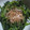 みりりぼん's cooksnap of when they made 超簡単！ほうれん草の練りごまあえ.