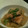 やあまー's cooksnap of when they made こんがりしょうがの「ぶり大根」！.