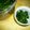 Jock's cooksnap of when they made 備忘録 からし菜の塩漬.