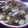 ちびカピちゃん's cooksnap of when they made あさりの酒蒸し.
