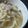 sunny717's cooksnap of when they made オイスターソースde煮込みうどん.