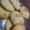 ひつじこちゃん's cooksnap of when they made ピーナツクッキー☆節分の残り落花生で.