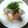 salymama's cooksnap of when they made 豚肉とカブのサラダ風炒め.