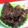 mikkosann's cooksnap of when they made 牛肉しょうがの甘辛煮♪.