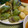 あめふらしのエミリー's cooksnap of when they made 地場のふきのとうでてんぷらを.