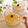さとみわ's cooksnap of when they made 酒粕香る♪もっちり豆乳ミルクゼリー.