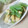kojyu's cooksnap of when they made ふきの煮物.