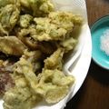 anegof's cooksnap of when they made ふきのとうの天ぷら.