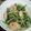 yuki修行中's cooksnap of when they made 水菜の桜エビと塩昆布和え.