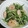 yuki修行中's cooksnap of when they made 水菜の桜エビと塩昆布和え.