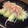 ＭｉｙａＣｏ's cooksnap of when they made わさび醤油で♪簡単アボガドの和風サラダ.
