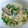白金魂's cooksnap of when they made ★☆豚バﾗとニﾗ･もやしの玉子炒め☆★.